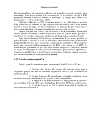 Genética molecular 7
base nitrogenada que irá parear com a adenina será a uracila e a outra é no açúcar, que é
uma ribose. Dessa forma simples o RNA mensageiro vai se formando, até que a RNA
polimerase encontre o ponto de término da transcrição. A direção dessa síntese é da
extremidade 5’ >>>3’ da molécula de DNA.
Guilfoyle e Malcolm em 1980 (citado por Mantell et al, 1994) isolaram a enzima
RNA polimerase em embriões de soja, enquanto Jendrirak (1980), citado pelos mesmos
autores, a isolou em trigo. Isto foi a confirmação da analogia do que ocorre entre os
processos de transcrição em organismos diferentes, no caso a soja e o trigo.
Deve-se aqui por uma ressalva: nos eucariontes o RNA produzido da forma acima
descrita recebe, atualmente, o nome de pré-RNA, pois ele contém partes que irão se
transformar em proteínas e partes que não fazem parte das proteínas, naquele momento.
Após a produção do pré-RNA algumas transformações devem ocorrer para que ele
possa atravessar a carioteca e ir até os ribossomos. Essas modificações são necessárias
porque grande parte dos genes eucariontes é interrompida. Entretanto, a RNA polimerase
copia todo segmento, indiscriminadamente, do DNA para formar o pré-RNA. As
transformações posteriores são para que passe somente cheguem ao citoplasma, partindo
do núcleo, as informações na forma de bases nucleotídicas que codificarão a proteína. As
estruturas no pré-RNA que se transformarão em proteínas se chamam exons e segmentos
que não são traduzidos que se denominam de introns.
1.5.2. Transformações no pré-RNA
Quatro etapas são importantes para a transformação do pré-RNA em RNAm:
a) Retirada dos introns. Os introns não deverão passar para o
citoplasma, porque não irão ser traduzidos em proteína. Isto é o que se denomina de
economia celular.
b) Ligação dos exons. Os exons ligados originarão a sequência correta
de nucleotídeos que é a informação para originar a cadeia polipeptídica.
c) A adição do CAP. Uma molécula de 7-metil-guanosina é adicionada
na extremidade 5’ do pré-RNA com a finalidade de direcionar o RNAm até os ribossomos.
d) A adição da cauda de Poli A. Várias sequências de adenina são
adicionadas na extremidade 3’.
 