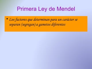 Primera Ley de Mendel Los factores que determinan para un carácter se separan (segregan) a gametos diferentes 