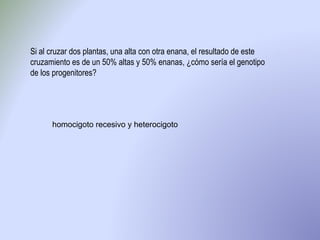 Si al cruzar dos plantas, una alta con otra enana, el resultado de este cruzamiento es de un 50% altas y 50% enanas, ¿cómo sería el genotipo de los progenitores? homocigoto recesivo y heterocigoto 
