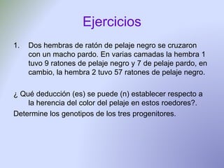Ejercicios Dos hembras de ratón de pelaje negro se cruzaron con un macho pardo. En varias camadas la hembra 1 tuvo 9 ratones de pelaje negro y 7 de pelaje pardo, en cambio, la hembra 2 tuvo 57 ratones de pelaje negro. ¿ Qué deducción (es) se puede (n) establecer respecto a la herencia del color del pelaje en estos roedores?. Determine los genotipos de los tres progenitores. 
