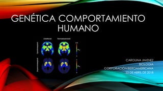 GENÉTICA COMPORTAMIENTO
HUMANO
CAROLINA JIMENEZ
BIOLOGIA
CORPORACIÓNIBEROAMERICANA
22 DE ABRIL DE 2018
 