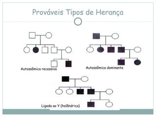 Prováveis Tipos de Herança
Autossômica recessiva Autossômica dominante
Ligada ao Y (holândrica)
 
