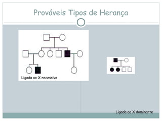 Prováveis Tipos de Herança
Ligada ao X recessiva
Ligada ao X dominante
 