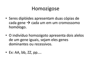 Homozigose
• Seres diplóides apresentam duas cópias de
cada gene  cada um em um cromossomo
homólogo.
• O indivíduo homozigoto apresenta dois alelos
de um gene iguais, sejam eles genes
dominantes ou recessivos.
• Ex: AA, bb, ZZ, pp....
 