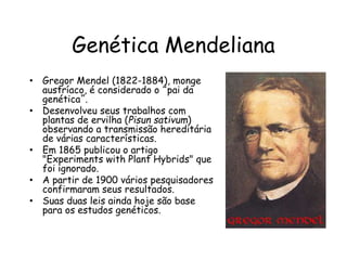 Genética Mendeliana
• Gregor Mendel (1822-1884), monge
austríaco, é considerado o “pai da
genética”.
• Desenvolveu seus trabalhos com
plantas de ervilha (Pisun sativum)
observando a transmissão hereditária
de várias características.
• Em 1865 publicou o artigo
"Experiments with Plant Hybrids" que
foi ignorado.
• A partir de 1900 vários pesquisadores
confirmaram seus resultados.
• Suas duas leis ainda hoje são base
para os estudos genéticos.
 