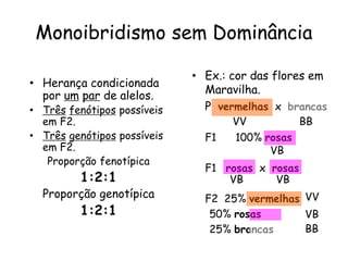 Monoibridismo sem Dominância
• Herança condicionada
por um par de alelos.
• Três fenótipos possíveis
em F2.
• Três genótipos possíveis
em F2.
Proporção fenotípica
1:2:1
Proporção genotípica
1:2:1
• Ex.: cor das flores em
Maravilha.
P vermelhas x brancas
F1 100% rosas
F1 rosas x rosas
F2 25% vermelhas
50% rosas
25% brancas
VV BB
VB
VB VB
VV
VB
BB
 