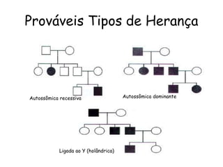 Prováveis Tipos de Herança
Autossômica recessiva Autossômica dominante
Ligada ao Y (holândrica)
 
