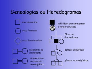 Genealogias ou Heredogramas
sexo masculino
sexo feminino
sexo desconhecido
casamento ou
cruzamento
casamento ou
cruzamento
consangüíneo
indivíduos que apresentam
o caráter estudado
filhos ou
descendentes
gêmeos dizigóticos
gêmeos monozigóticos
 