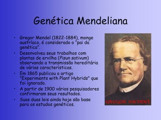 Genética Mendeliana
• Gregor Mendel (1822-1884), monge
austríaco, é considerado o “pai da
genética”.
• Desenvolveu seus trabalhos com
plantas de ervilha (Pisun sativum)
observando a transmissão hereditária
de várias características.
• Em 1865 publicou o artigo
"Experiments with Plant Hybrids" que
foi ignorado.
• A partir de 1900 vários pesquisadores
confirmaram seus resultados.
• Suas duas leis ainda hoje são base
para os estudos genéticos.
 