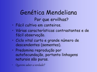 Genética Mendeliana
Por que ervilhas?
• Fácil cultivo em canteiros.
• Várias características contrastantes e de
fácil observação.
• Ciclo vital curto e grande número de
descendentes (sementes).
• Predomina reprodução por
autofecundação, portanto linhagens
naturais são puras.
• Querem saber a verdade?
 