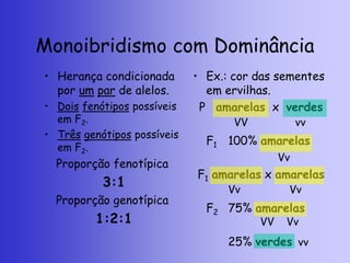 Monoibridismo com Dominância
• Herança condicionada
por um par de alelos.
• Dois fenótipos possíveis
em F2.
• Três genótipos possíveis
em F2.
Proporção fenotípica
3:1
Proporção genotípica
1:2:1
• Ex.: cor das sementes
em ervilhas.
P amarelas x verdes
F1 100% amarelas
F1 amarelas x amarelas
F2 75% amarelas
25% verdes
VV vv
Vv
Vv Vv
Vv
VV
vv
 
