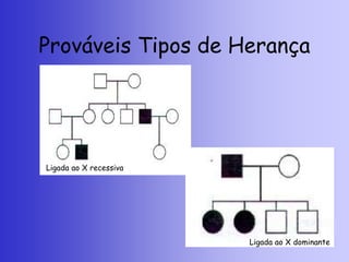 Prováveis Tipos de Herança
Ligada ao X recessiva
Ligada ao X dominante
 