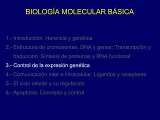 BIOLOGÍA MOLECULAR BÁSICA
1.- Introducción. Herencia y genética
2.- Estructura de cromosomas, DNA y genes; Transcripción y
traducción. Síntesis de proteínas y RNA funcional
3.- Control de la expresión genética
4.- Comunicación inter e intracelular. Ligandos y receptores
5.- El ciclo celular y su regulación
6.- Apoptosis. Concepto y control
 