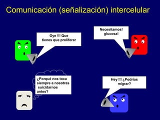 Oye !!! Que
tienes que proliferar
Necesitamos!
glucosa!
Hey !!! ¿Podrías
migrar?
¿Porqué nos toca
siempre a nosotras
suicidarnos
antes?
Comunicación (señalización) intercelular
 