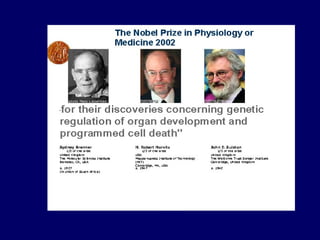 Genetica molecular contada a cirujanos