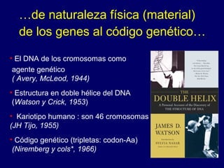…de naturaleza física (material)
de los genes al código genético…
• El DNA de los cromosomas como
agente genético
( Avery, McLeod, 1944)
• Estructura en doble hélice del DNA
(Watson y Crick, 1953)
• Kariotipo humano : son 46 cromosomas
(JH Tijo, 1955)
• Código genético (tripletas: codon-Aa)
(Niremberg y cols*, 1966)
 