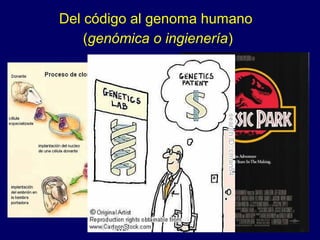 Del código al genoma humano
(genómica o ingienería)
 