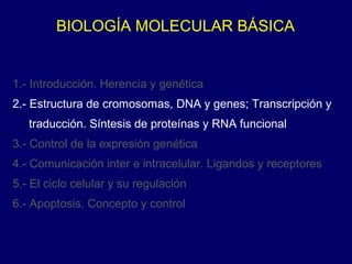 BIOLOGÍA MOLECULAR BÁSICA
1.- Introducción. Herencia y genética
2.- Estructura de cromosomas, DNA y genes; Transcripción y
traducción. Síntesis de proteínas y RNA funcional
3.- Control de la expresión genética
4.- Comunicación inter e intracelular. Ligandos y receptores
5.- El ciclo celular y su regulación
6.- Apoptosis. Concepto y control
 
