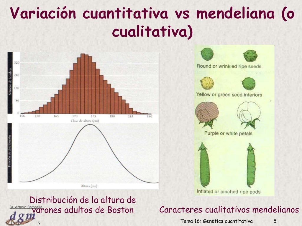 Heredabilidad