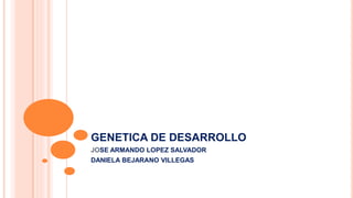 GENETICA DE DESARROLLO
JOSE ARMANDO LOPEZ SALVADOR
DANIELA BEJARANO VILLEGAS
 