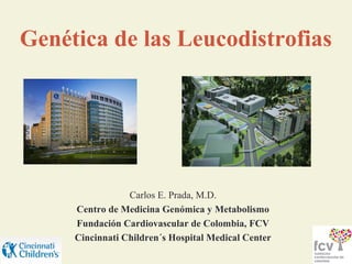 Genética de las Leucodistrofias




                 Carlos E. Prada, M.D.
     Centro de Medicina Genómica y Metabolismo
     Fundación Cardiovascular de Colombia, FCV
     Cincinnati Children´s Hospital Medical Center
 