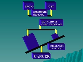 PRO-O GST MUTACIONES CARC. EXOGENOS IMBALANCE GENETICO CANCER CRECIMIENTO REGULADO 