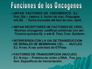 Funciones de los Oncogenes IMITAR  FACTORES  DE  CRECIMIENTO:  EJ:  Onc. Sis – cadena  β   factor de crec. Plaquetas erb B2  -  forma truncada del fact de crec. Epid. IMITAN RECEPTORES DE FACTORES DE CREC. Muchos oncogenes  codifican protéinas con act. Tirosina quinasa Ej: c-erb-B  Fact. Crec. Epiderm. INTERFIEREN CON LA VIA DE TRANSDUCCION DE SEÑALES DE MEMBRANA CEL.  -  NUCLEO EJ. H-ras, K-ras actividad de GTPasa FACTORES DE TRANSCRIPCION (NUCLEO) EJ. N-myc – Proteina de unión a DNA.  Fos, jun  fact. Específicos de transcripción 