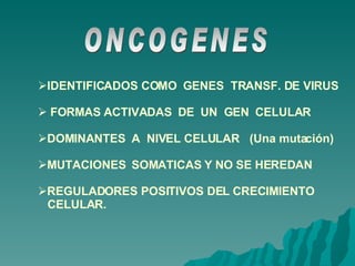 ONCOGENES IDENTIFICADOS COMO  GENES  TRANSF. DE VIRUS FORMAS ACTIVADAS  DE  UN  GEN  CELULAR DOMINANTES  A  NIVEL CELULAR  (Una mutación) MUTACIONES  SOMATICAS Y NO SE HEREDAN REGULADORES POSITIVOS DEL CRECIMIENTO CELULAR. 