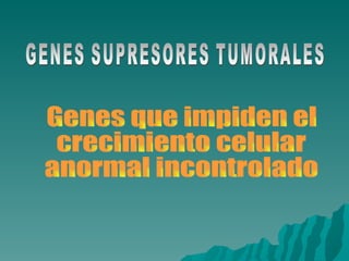GENES SUPRESORES TUMORALES Genes que impiden el  crecimiento celular anormal incontrolado 