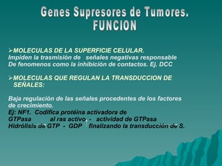 Genes Supresores de Tumores. FUNCION MOLECULAS DE LA SUPERFICIE CELULAR. Impiden la trasmisión de  señales negativas responsable De fenomenos como la inhibición de contactos. Ej. DCC MOLECULAS QUE REGULAN LA TRANSDUCCION DE  SEÑALES: Baja regulación de las señales procedentes de los factores de crecimiento.  Ej: NF1.  Codifica protéina activadora de GTPasa  al ras activo  -  actividad de GTPasa   Hidrólisis de GTP  -  GDP  finalizando la transducción de S. 