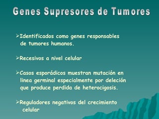 Genes Supresores de Tumores Identificados como genes responsables  de tumores humanos. Recesivos a nivel celular Casos esporádicos muestran mutación en linea germinal especialmente por deleción  que produce perdida de heterocigosis. Reguladores negativos del crecimiento  celular 