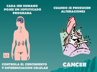 CADA SER HUMANO  POSEE UN SOFISTICADO PROGRAMA  CONTROLA EL CRECIMIENTO Y DIFERENCIACION CELULAR CUANDO SE PRODUCEN ALTERACIONES CANCER 