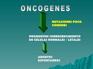 ONCOGENES MUTACIONES POCO COMUNES PROMUEVEN SOBRECRECIMIENTO DE CELULAS NORMALES - LETALES ABORTOS ESPONTANEOS 