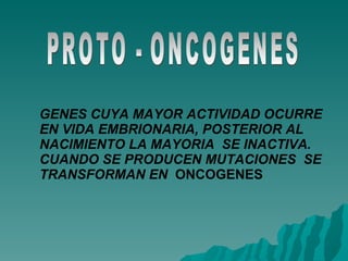 PROTO - ONCOGENES GENES CUYA MAYOR ACTIVIDAD OCURRE EN VIDA EMBRIONARIA, POSTERIOR AL  NACIMIENTO LA MAYORIA  SE INACTIVA. CUANDO SE PRODUCEN MUTACIONES  SE TRANSFORMAN EN   ONCOGENES 