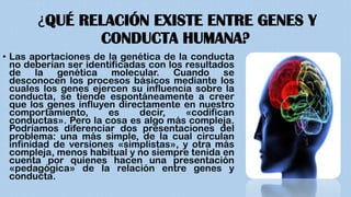 ¿QUÉ RELACIÓN EXISTE ENTRE GENES Y
CONDUCTA HUMANA?
• Las aportaciones de la genética de la conducta
no deberían ser identificadas con los resultados
de la genética molecular. Cuando se
desconocen los procesos básicos mediante los
cuales los genes ejercen su influencia sobre la
conducta, se tiende espontáneamente a creer
que los genes influyen directamente en nuestro
comportamiento, es decir, «codifican
conductas». Pero la cosa es algo más compleja.
Podríamos diferenciar dos presentaciones del
problema: una más simple, de la cual circulan
infinidad de versiones «simplistas», y otra más
compleja, menos habitual y no siempre tenida en
cuenta por quienes hacen una presentación
«pedagógica» de la relación entre genes y
conducta.
 