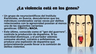 ¿La violencia está en los genes?
• Un grupo de neurocientíficos del Instituto
Karolinska, en Suecia, descubrieron que los
individuos condenados varias veces por delitos
relacionados con la agresividad poseían al menos
una de las siguientes variantes
genéticas: CDH13 y MAOA.
• Este último, conocido como el “gen del guerrero”,
controla la producción de dopamina. Si su
actividad disminuye, y el portador además
consume alcohol, cocaína o anfetaminas, se
produce una explosión de dopamina que
potencialmente puede llevar a la comisión de
delitos violentos.
 