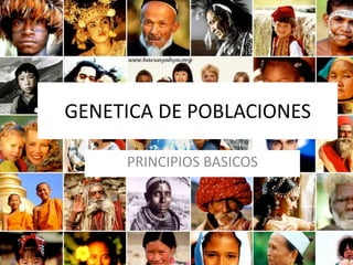 GENETICA DE POBLACIONES 
PRINCIPIOS BASICOS 
 