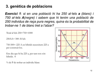 12
3. genètica de poblacions
Exercici 1: si en una població hi ha 250 al·lels a (blanc) i
750 al·lels A(negre) i sabem que hi tenim una població de
250 individus de raça pura negres, quina és la probabilitat de
trobar-ne 1 de blanc tret a l’atzar?
Total al·lels 250+750=1000
250AA= 500 Al·lels
750-500= 225 A en híbrids necessitem 225 a
per construir-los.
Ens diu que hi ha 225 a, per tant tots són
híbrids. 0
% de P de trobar un individu blanc
 