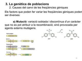 15
3. La genètica de poblacions
2. Causes del canvi de les freqüències gèniques
Els factors que poden fer variar les freqüències gèniques poden
ser diverses:
a) Mutació: variació sobtada i discontínua d’un caràcter
que no es pot atribuir a la recombinació; sinó provocada per
agents externs mutàgens.
 