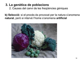 16
3. La genètica de poblacions
2. Causes del canvi de les freqüències gèniques
b) Selecció: si el procés és provocat per la natura s’anomena
natural, però si intervé l’home s’anomena artificial
 