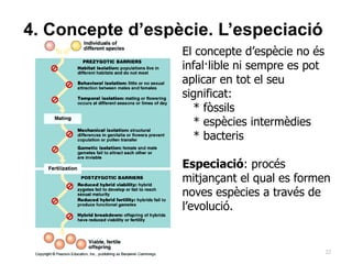 22
4. Concepte d’espècie. L’especiació
El concepte d’espècie no és
infal·lible ni sempre es pot
aplicar en tot el seu
significat:
* fòssils
* espècies intermèdies
* bacteris
Especiació: procés
mitjançant el qual es formen
noves espècies a través de
l’evolució.
 