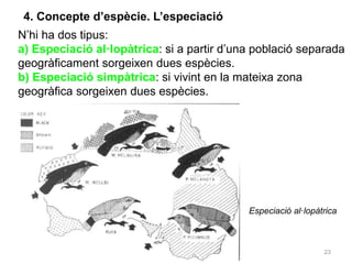 23
4. Concepte d’espècie. L’especiació
N’hi ha dos tipus:
a) Especiació al·lopàtrica: si a partir d’una població separada
geogràficament sorgeixen dues espècies.
b) Especiació simpàtrica: si vivint en la mateixa zona
geogràfica sorgeixen dues espècies.
Especiació al·lopàtrica
 