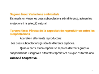 25
Segona fase: Variacions ambientals
Els medis on viuen les dues subpoblacions són diferents, actuen les
mutacions i la selecció natural.
Tercera fase: Pèrdua de la capacitat de reproduir-se entre les
subpoblacions
Apareixen aillaments reproductius
Les dues subpoblacions ja són de diferents espècies.
Quan a partir d’una espècie se separen diferents grups o
subpoblacions i sorgeixen diferents espècies es diu que es forma una
radiació adaptativa.
 