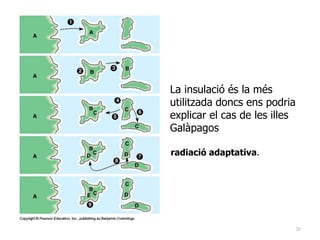 26
radiació adaptativa.
La insulació és la més
utilitzada doncs ens podria
explicar el cas de les illes
Galàpagos
 
