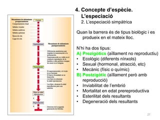 27
4. Concepte d’espècie.
L’especiació
2. L’especiació simpàtrica
Quan la barrera és de tipus biològic i es
produeix en el mateix lloc.
N’hi ha dos tipus:
A) Prezigòtics (aïllament no reproductiu)
• Ecològic (diferents nínxols)
• Sexual (hormonal, atracció, etc)
• Mecànic (físic o químic)
B) Postzigòtic (aïllament però amb
reproducció)
• Inviabilitat de l’embrió
• Mortalitat en edat prereproductiva
• Esterilitat dels resultants
• Degeneració dels resultants
 