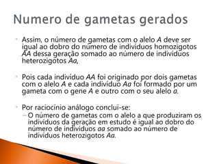 •   Assim, o número de gametas com o alelo A deve ser
    igual ao dobro do número de indivíduos homozigotos
    AA dessa geração somado ao número de indivíduos
    heterozigotos Aa,

•   Pois cada indivíduo AA foi originado por dois gametas
    com o alelo A e cada indivíduo Aa foi formado por um
    gameta com o gene A e outro com o seu alelo a.

•   Por raciocínio análogo conclui-se:
    – O número de gametas com o alelo a que produziram os
      indivíduos da geração em estudo é igual ao dobro do
      número de indivíduos aa somado ao número de
      indivíduos heterozigotos Aa.
 