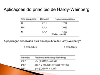 Aplicações do princípio de Hardy-Weinberg

             Tipo sanguíneo   Genótipo       Número de pessoas
             M                  LMLM                1787
             MN                 LMLN                3039
             N                  LNLN               1303
                                          TOTAL = 6129


A população observada está em equilíbrio de Hardy-Weiberg?

                 p = 0,5395                          q = 0,4605


             Genótipo    Freqüência de Hardy-Weinberg
             LMLM        p2 = (0,5395)2 = 0,2911
             LMLN        2pq = 2 (0,5395) (0,4605) = 0,4968
             LNLN        q2 = (0,4605)2 = 0,2121
 