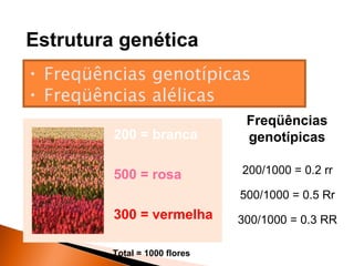 Estrutura genética
• Freqüências genotípicas
• Freqüências alélicas
                                Freqüências
         200 = branca           genotípicas

         500 = rosa            200/1000 = 0.2 rr

                               500/1000 = 0.5 Rr
         300 = vermelha        300/1000 = 0.3 RR

         Total = 1000 flores
 