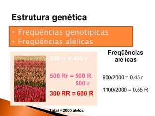Estrutura genética
• Freqüências genotípicas
• Freqüências alélicas
                                 Freqüências
         200 rr = 400 r            alélicas

         500 Rr = 500 R        900/2000 = 0.45 r
                  500 r
                               1100/2000 = 0.55 R
         300 RR = 600 R

         Total = 2000 alelos
 