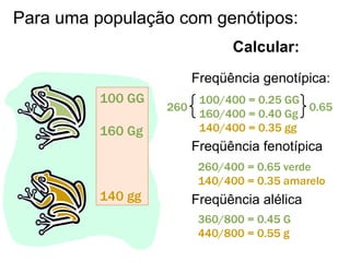 Para uma população com genótipos:
                                Calcular:
                         Freqüência genotípica:
          100 GG          100/400 = 0.25 GG
                   260                      0.65
                          160/400 = 0.40 Gg
          160 Gg          140/400 = 0.35 gg
                         Freqüência fenotípica
                          260/400 = 0.65 verde
                          140/400 = 0.35 amarelo
          140 gg         Freqüência alélica
                          360/800 = 0.45 G
                          440/800 = 0.55 g
 